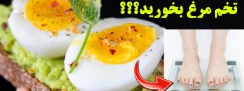 Eat-eggs-every-day-and-its-benefits[satapar.com]