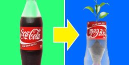 25 ترفند بازیافت بطری پلاستیکی برای کاردستی