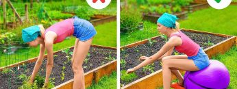 ترفندهای-مفید-باغبانی
